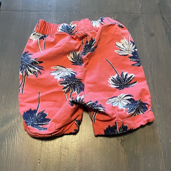 4/$15🌸 Boys 2T Shorts - Picture 2 of 4